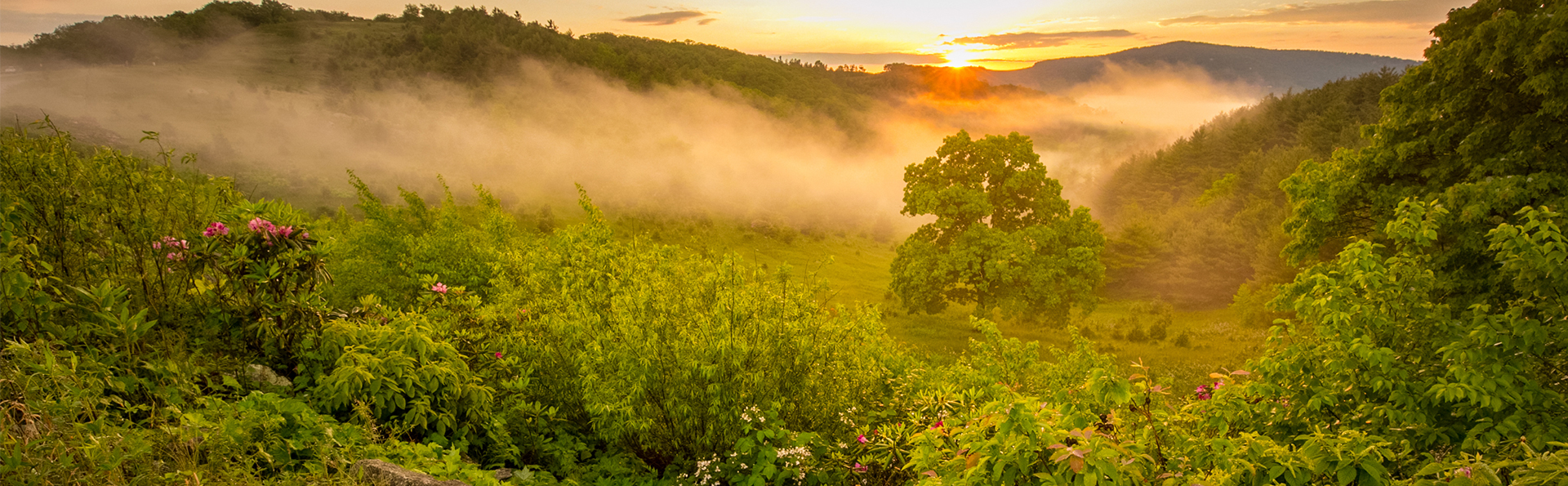 Proud WNC Landscape Hours